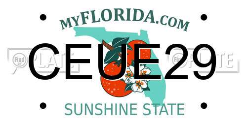 CEUE29 Florida License Plate