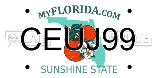 CEUJ99 Florida License Plate
