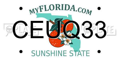 CEUQ33 Florida License Plate
