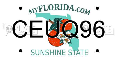 CEUQ96 Florida License Plate