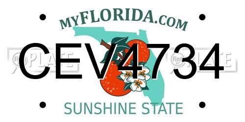 CEV4734 Florida License Plate