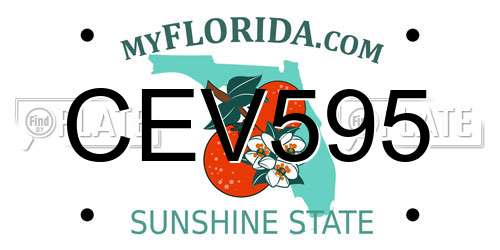 CEV595 Florida License Plate