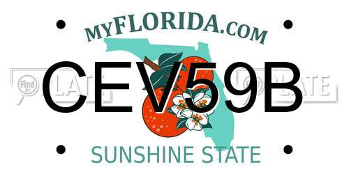 CEV59B Florida License Plate
