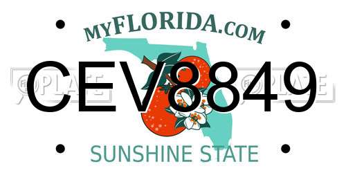 CEV8849 Florida License Plate