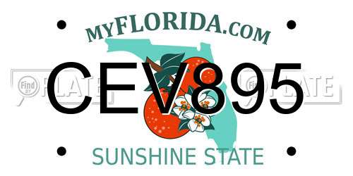 CEV895 Florida License Plate