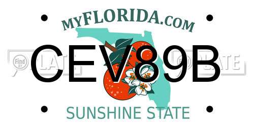 CEV89B Florida License Plate