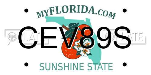 CEV89S Florida License Plate