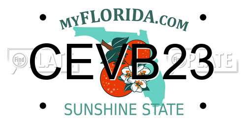 CEVB23 Florida License Plate