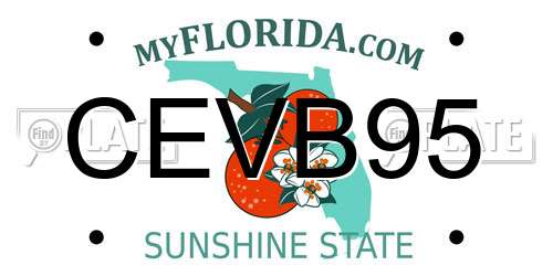 CEVB95 Florida License Plate