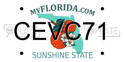 CEVC71 Florida License Plate