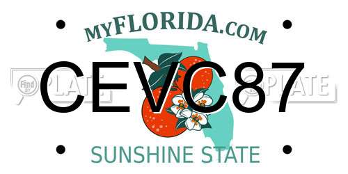 CEVC87 Florida License Plate