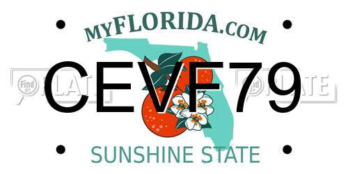 CEVF79 Florida License Plate