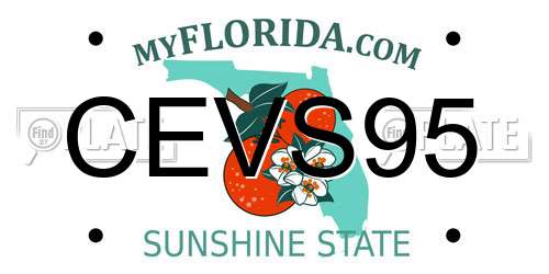 CEVS95 Florida License Plate