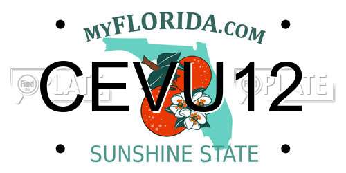 CEVU12 Florida License Plate
