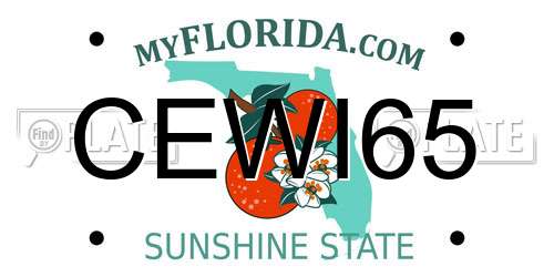 CEWI65 Florida License Plate