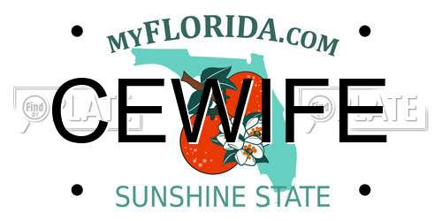 CEWIFE Florida License Plate