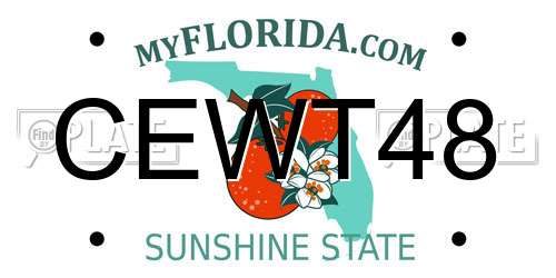 CEWT48 Florida License Plate