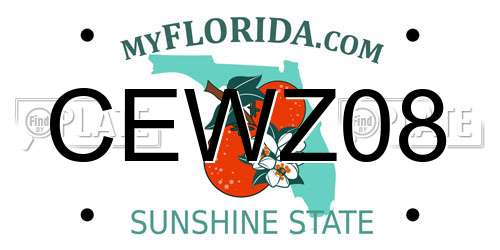 CEWZ08 Florida License Plate