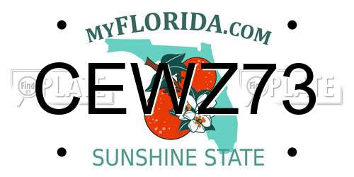 CEWZ73 Florida License Plate