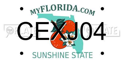 CEXJ04 Florida License Plate