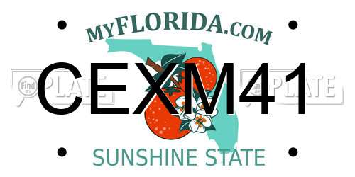 CEXM41 Florida License Plate