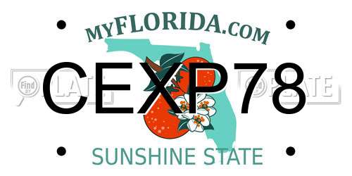 CEXP78 Florida License Plate