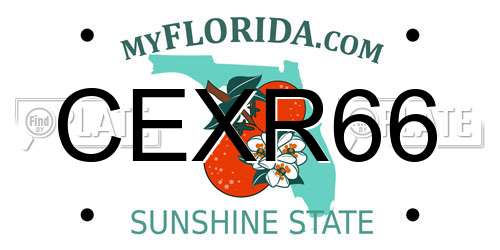 CEXR66 Florida License Plate