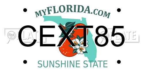 CEXT85 Florida License Plate