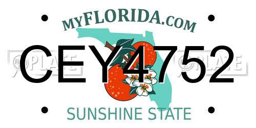CEY4752 Florida License Plate