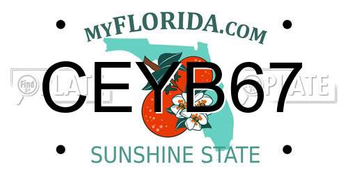 CEYB67 Florida License Plate