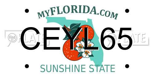 CEYL65 Florida License Plate
