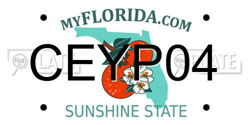 CEYP04 Florida License Plate