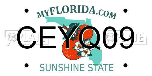 CEYQ09 Florida License Plate