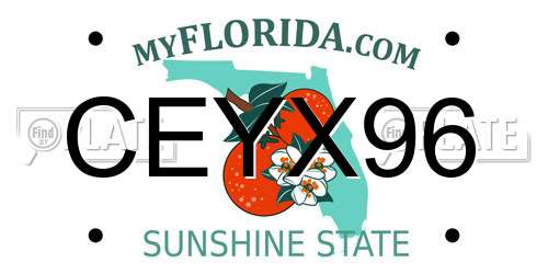 CEYX96 Florida License Plate