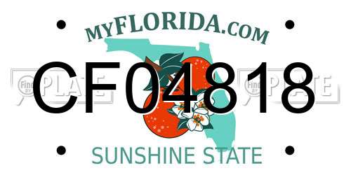 CF04818 Florida License Plate