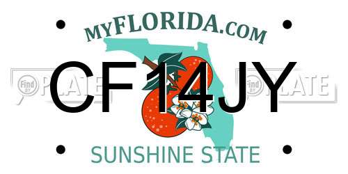 CF14JY Florida License Plate