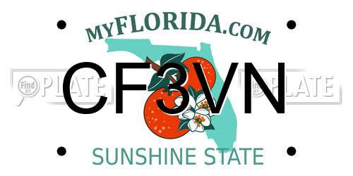 CF3VN Florida License Plate