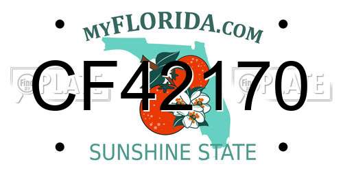 CF42170 Florida License Plate