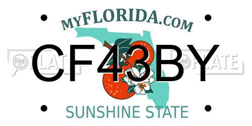 CF43BY Florida License Plate