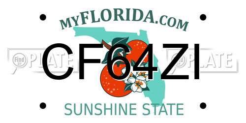 CF64ZI Florida License Plate