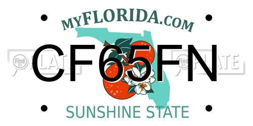 CF65FN Florida License Plate