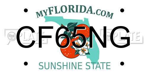 CF65NG Florida License Plate