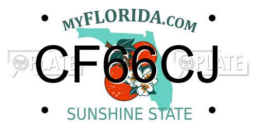 CF66CJ Florida License Plate