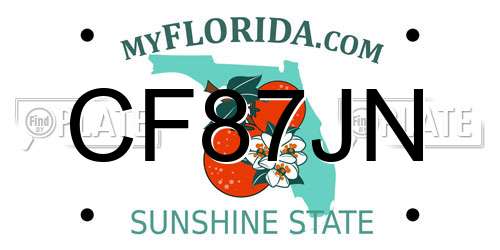 CF87JN Florida License Plate