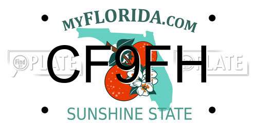 CF9FH Florida License Plate