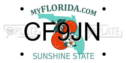 CF9JN Florida License Plate