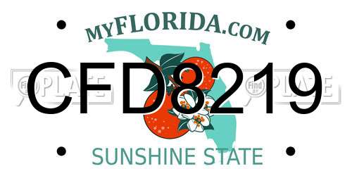 CFD8219 Florida License Plate