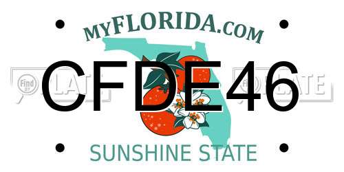 CFDE46 Florida License Plate