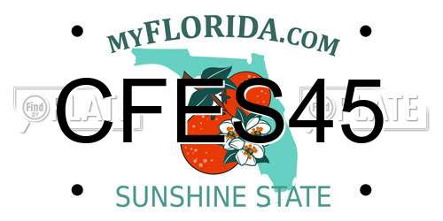 CFES45 Florida License Plate