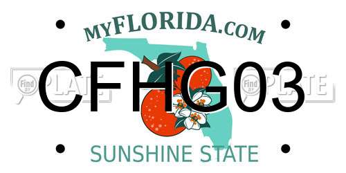 CFHG03 Florida License Plate